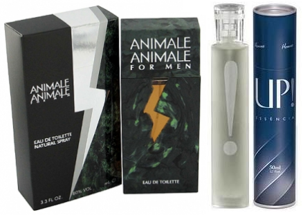 Animale - UP! 43